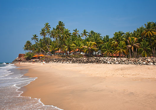 traveldilse-Experience Kerala